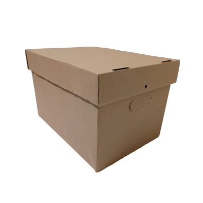 Caja archivo x300 x10 unidades